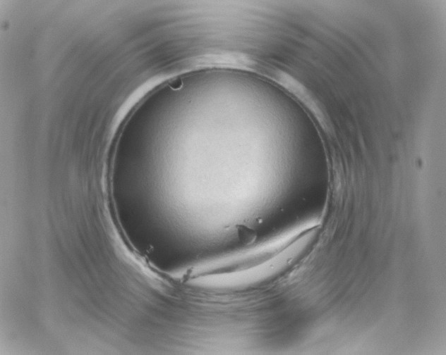 X0000066091339200603241447