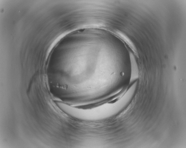 X0000066091340200603241447