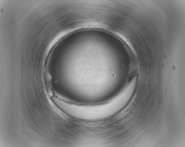 X0000066091342200603241447