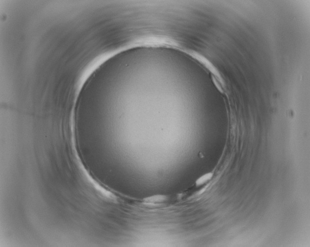 X0000066091343200603241447