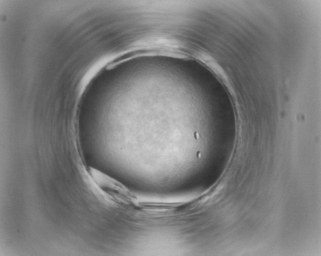 X0000066091344200603241447