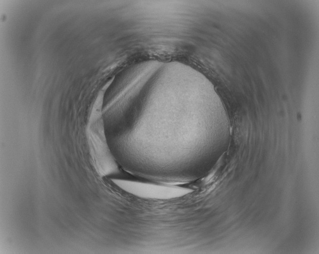 X0000066091345200603241446