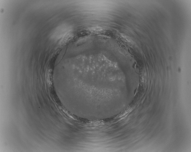 X0000066091346200603241446