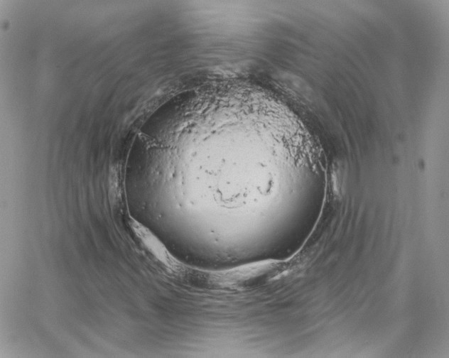 X0000066091347200603241446