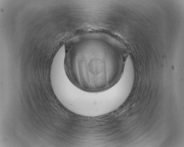 X0000066091348200603241446