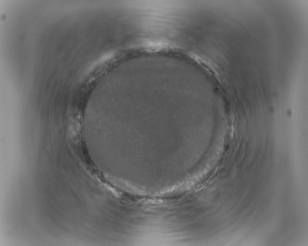 X0000066091349200603241446