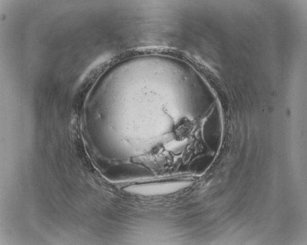 X0000066091351200603241446