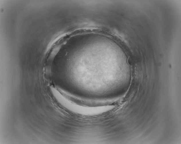 X0000066091352200603241446