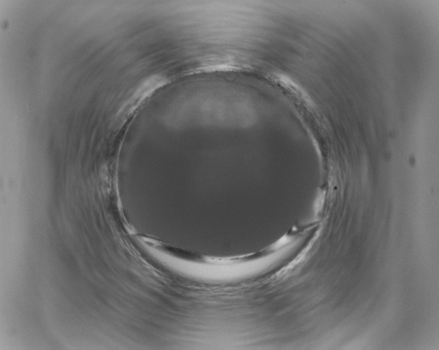 X0000066091353200603241446