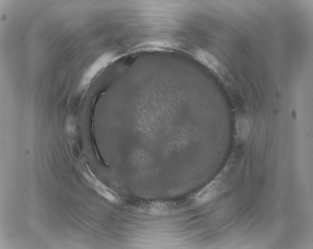 X0000066091355200603241446