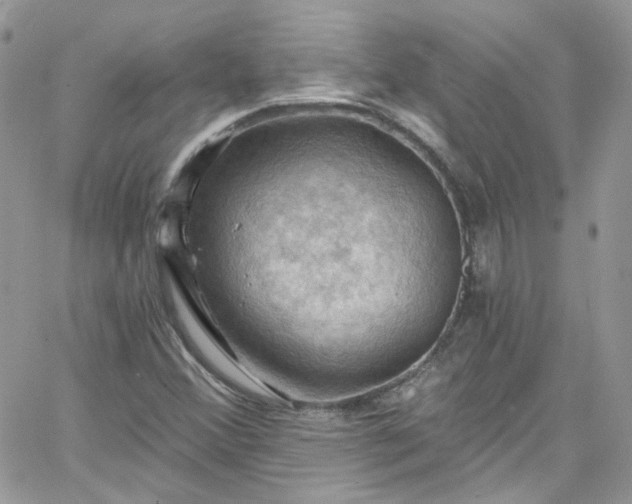 X0000066091356200603241446