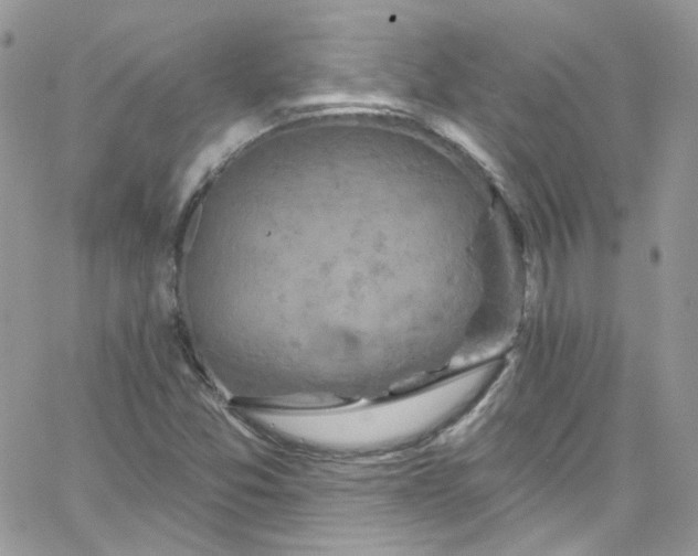 X0000066091357200603241446