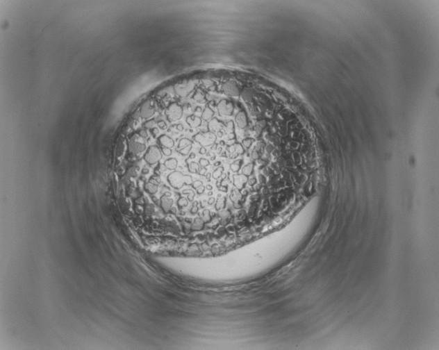 X0000066091359200603241446