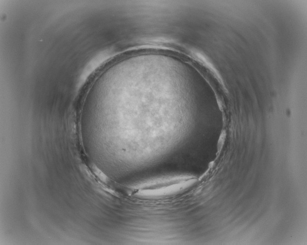 X0000066091360200603241446