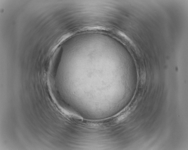 X0000066091361200603241446