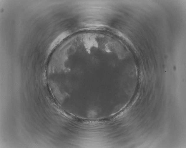 X0000066091362200603241446