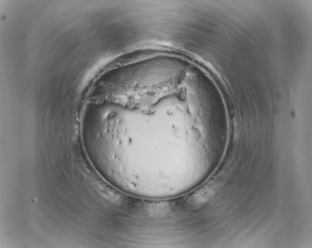 X0000066091363200603241446