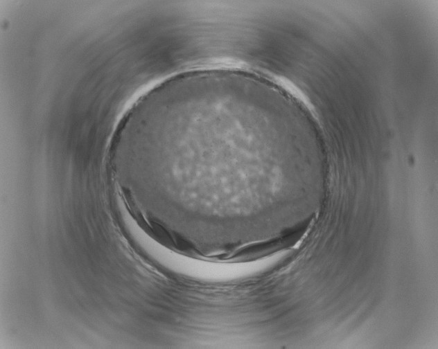 X0000066091364200603241446