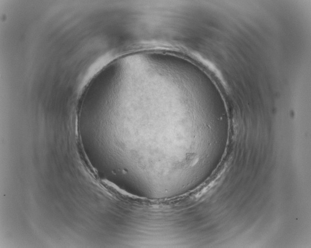 X0000066091365200603241446