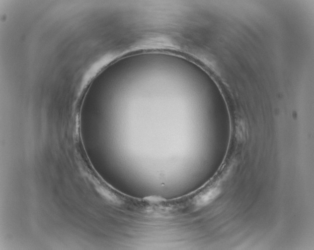 X0000066091366200603241446