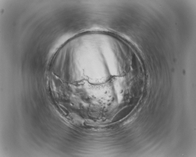 X0000066091367200603241446