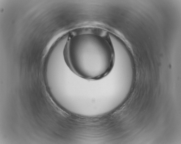 X0000066091368200603241446