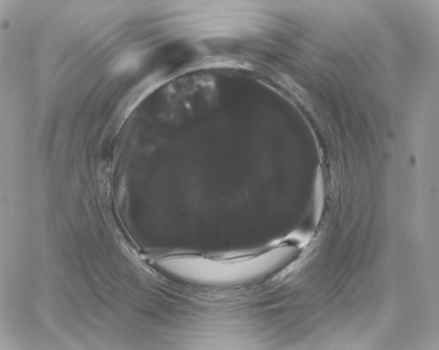 X0000066091369200603241446