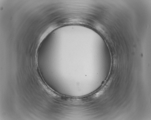 X0000066091370200603241446