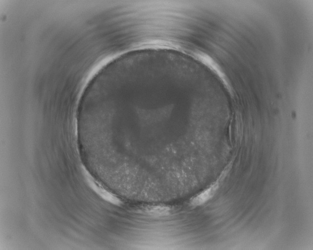 X0000066091372200603241446