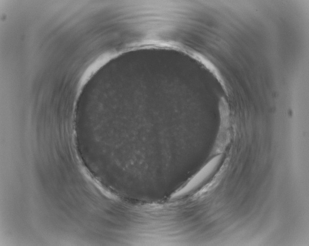 X0000066091373200603241446