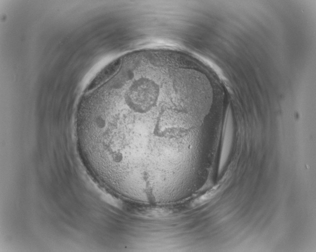 X0000066091375200603241446