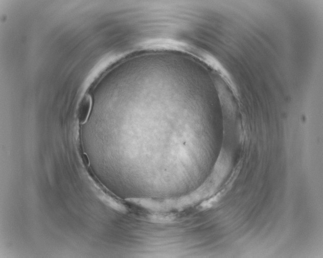 X0000066091376200603241446