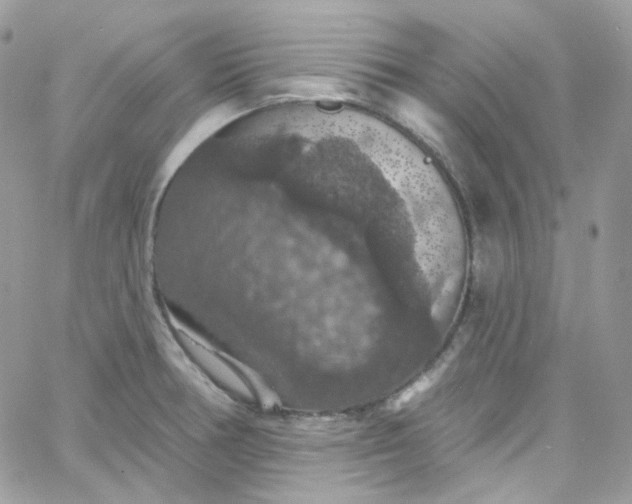 X0000066091378200603241446