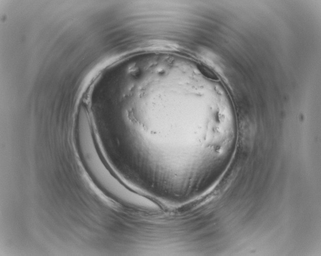 X0000066091379200603241446