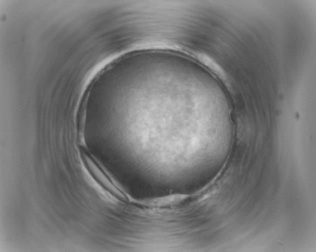 X0000066091380200603241446