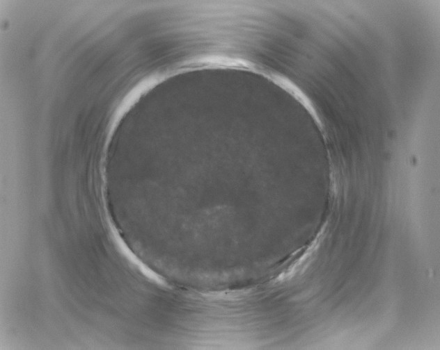 X0000066091381200603241446