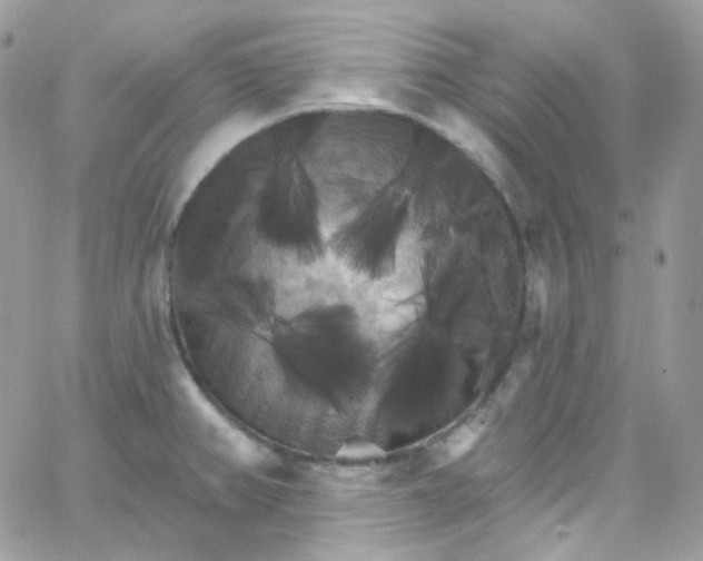 X0000066091382200603241446