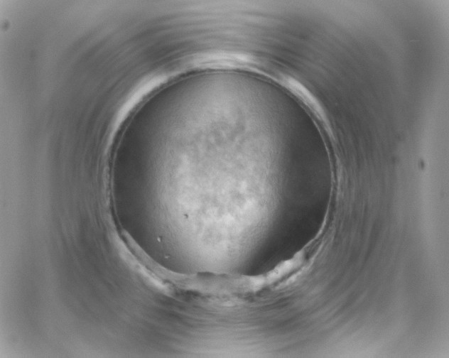 X0000066091384200603241446