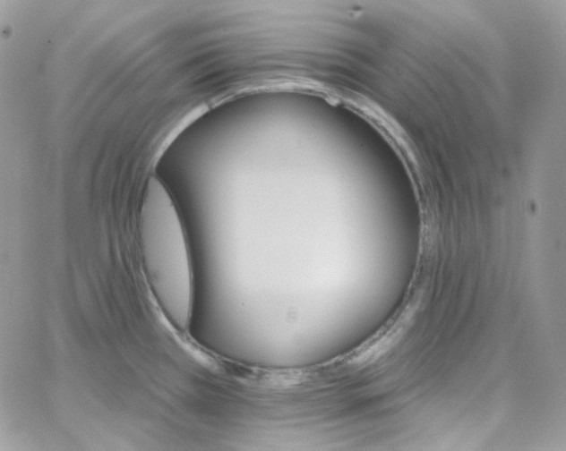 X0000066091385200603241446