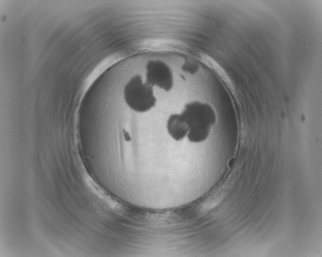 X0000066091386200603241446