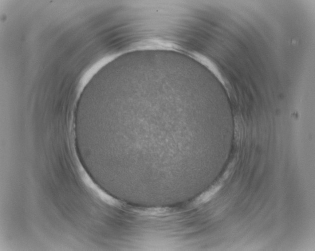 X0000066091387200603241446