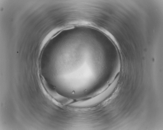 X0000066091389200603241446