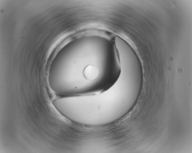 X0000066091392200603241446