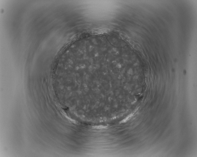 X0000066091393200603241445