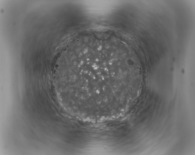 X0000066091397200603241445