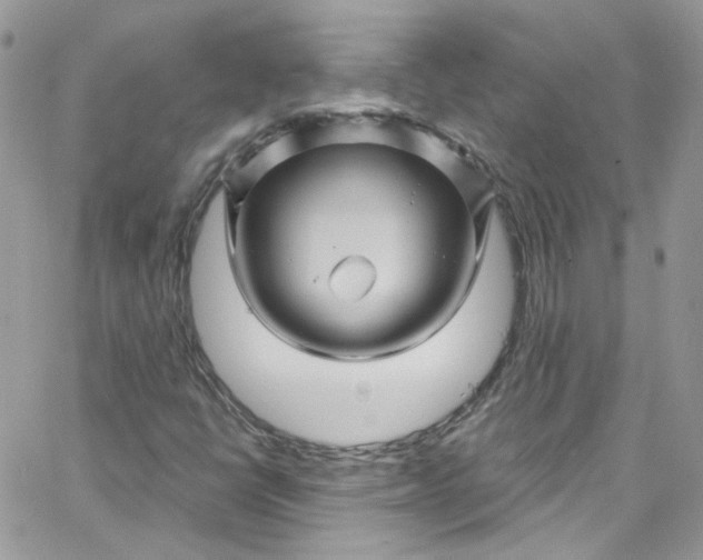 X0000066091398200603241445