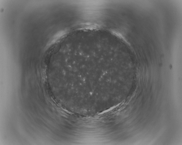 X0000066091399200603241445