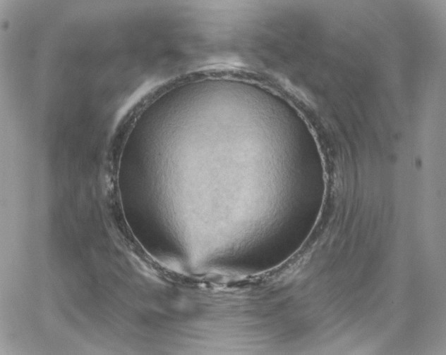 X0000066091400200603241445