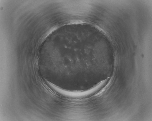 X0000066091401200603241445