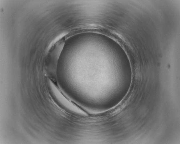 X0000066091402200603241445